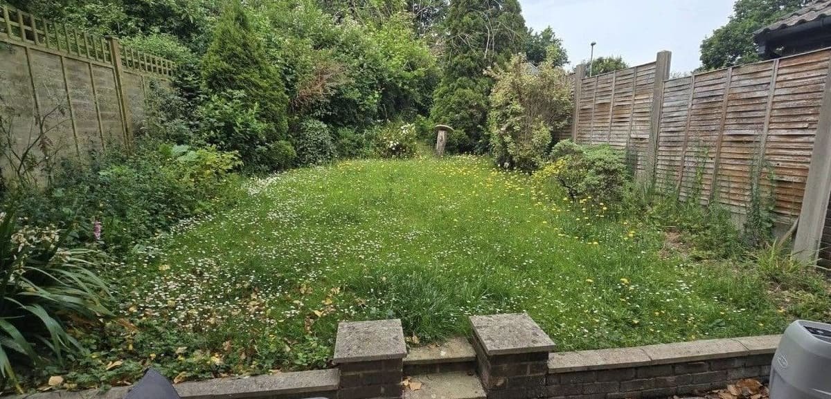 Before: holiday let garden
