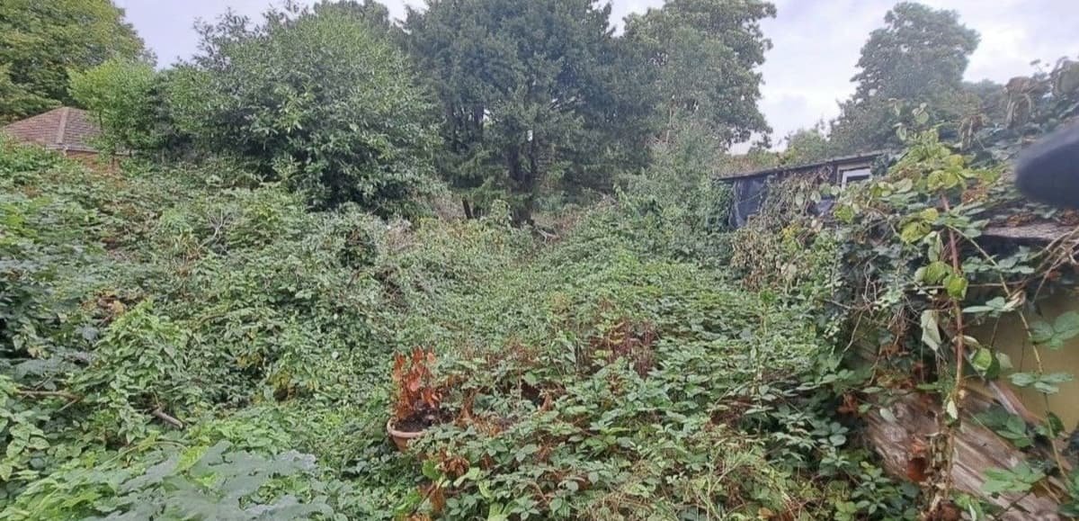 Before: development site clearance