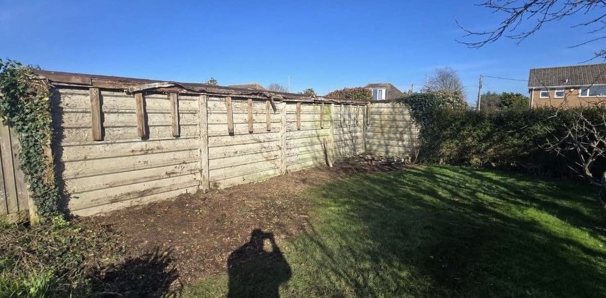 Fence line fully cleared of heavy ivy and overgrowth, leaving open ground beside the lawn