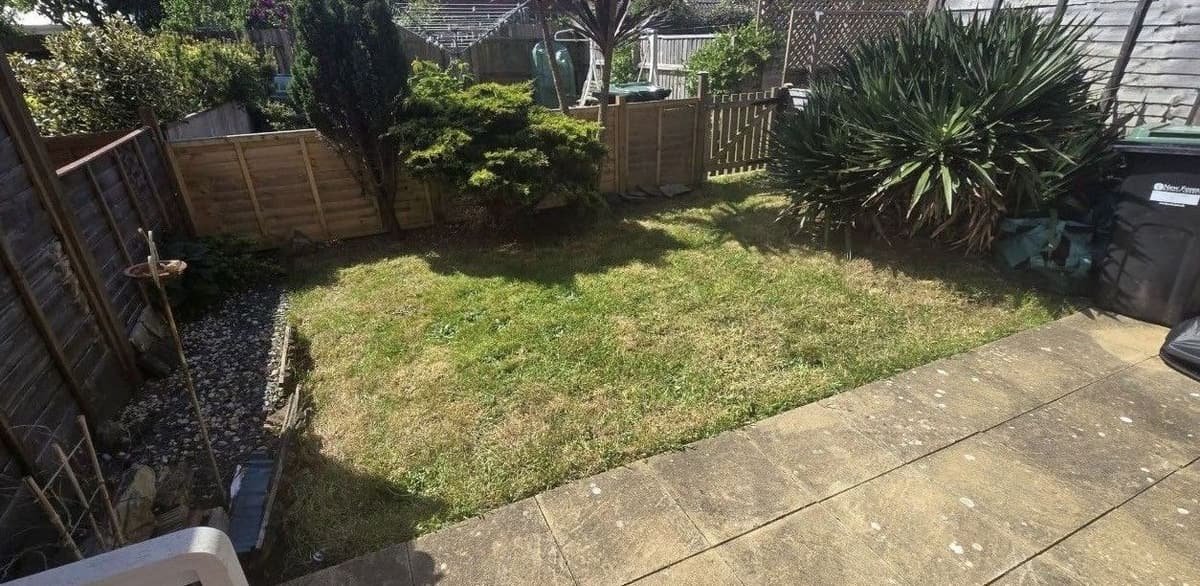 Compact back garden with lawn mown, edges tidied and shrubs neatly kept