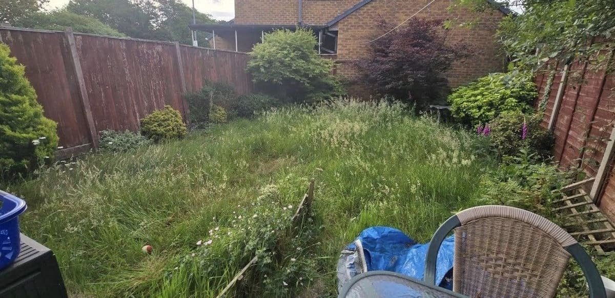 Before: overgrown garden brought back in Christchurch
