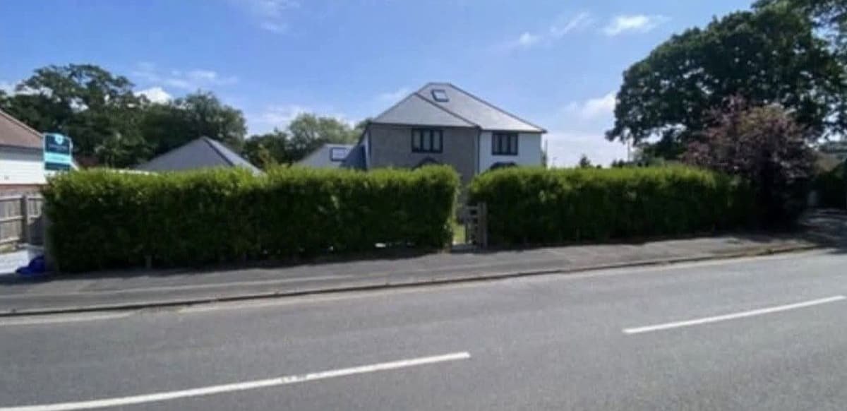Before: roadside boundary hedge