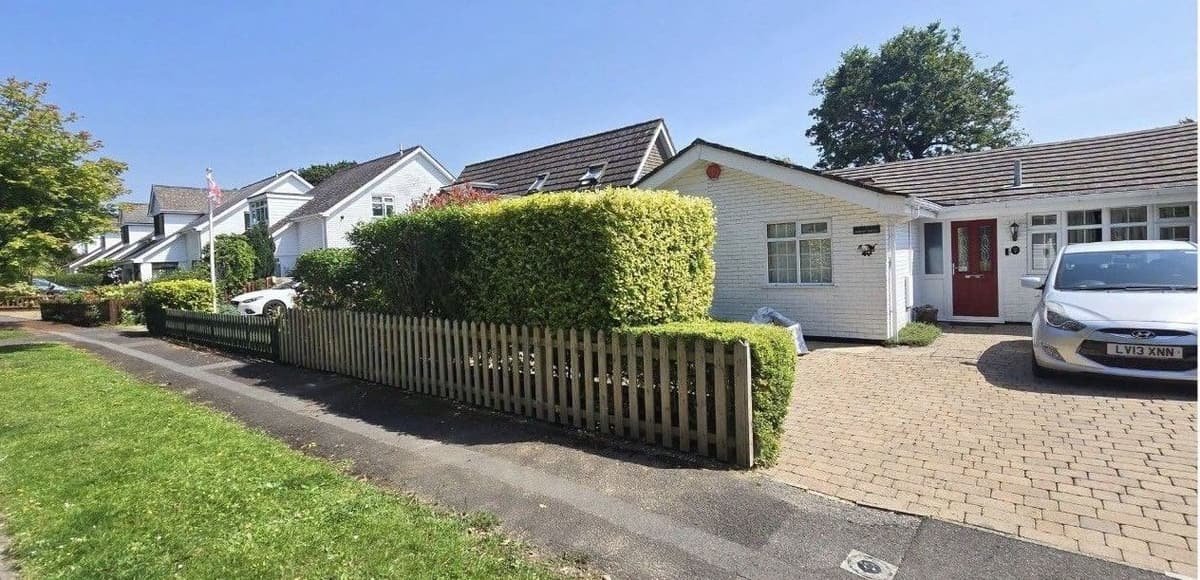 Golden privet hedge shaped with clean lines behind a picket fence